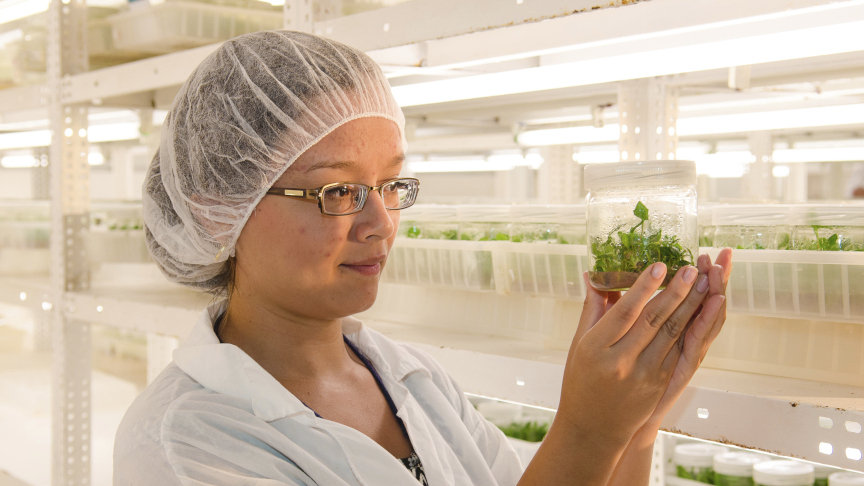 Una estudiante en el laboratorio con plantas en la mano